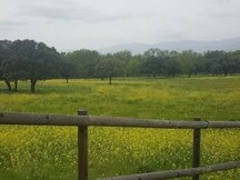 Vacaciones con tu caballo. Casa de alquiler turistico, preparada para llevar tus caballos en el mejor paraje del Tietar,