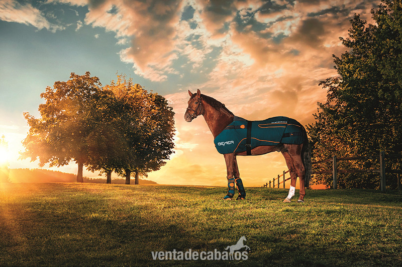 Manta Bemer Bemer Horse Set in 
