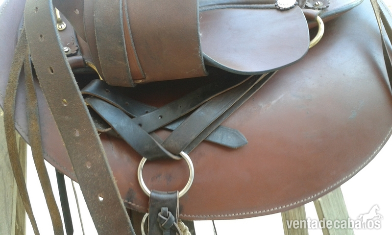  Montura western