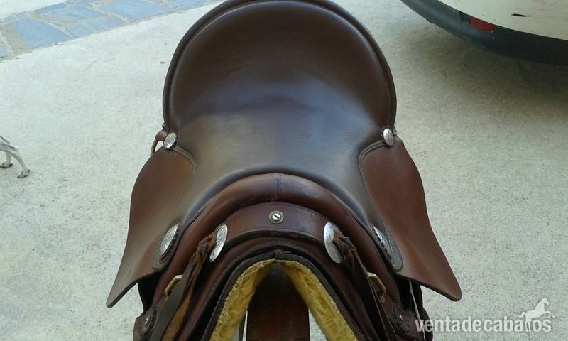 Montura western - Sillas de montar in 
