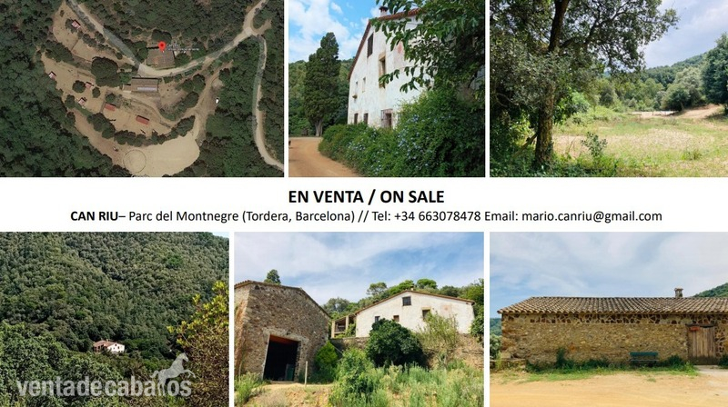 Finca de 25 has en el Parc del Montnegre, 4 km de Pineda de Mar in Tordera