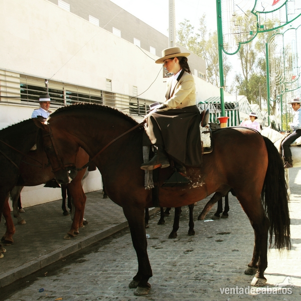 Pura Raza Española