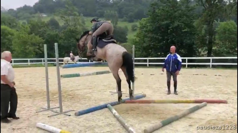 Caballo de salto in 