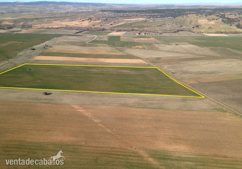Magnifica finca plana de 67.000 m/2 a 1 hora de Madrid in Castillejo de Mesleón