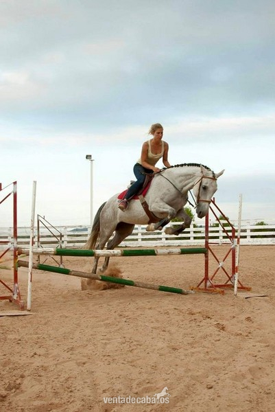  Yegua CDE salto y doma