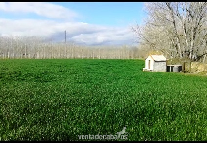 VENDO TERRENO A PIE DE NACIONAL 2 , PARA CENTRO ECUESTRE in GIRONA