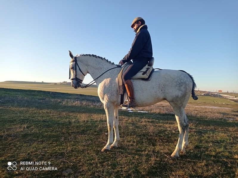 Hispano arabe