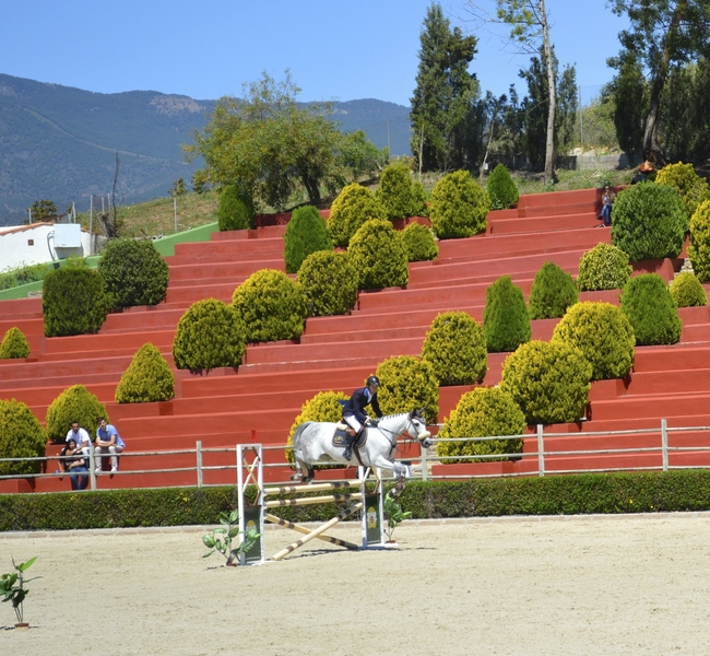 ESTEPONA Centro Ecuestre en venta
