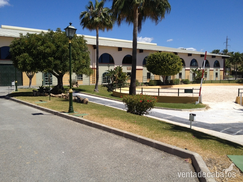 Centro Ecuestre en venta - Finca ecuestre in ESTEPONA
