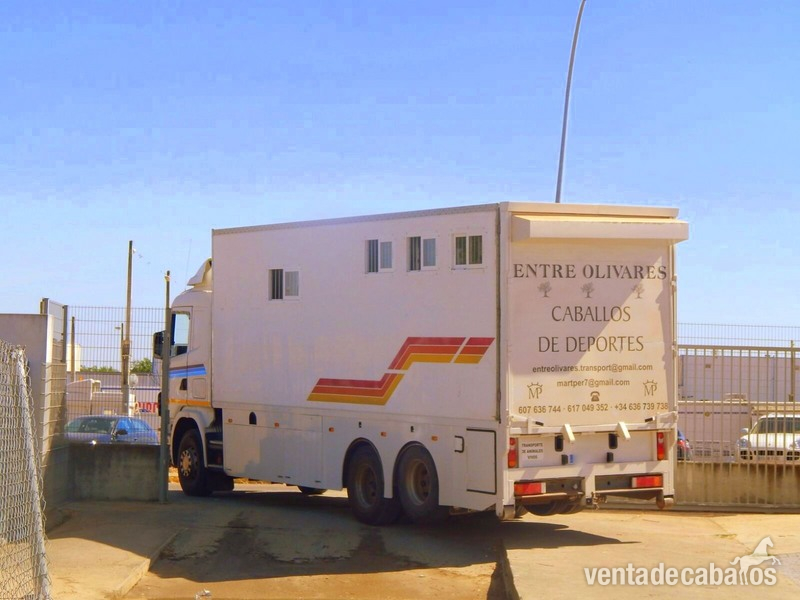 TRANSPORTE INTERNACIONAL in 