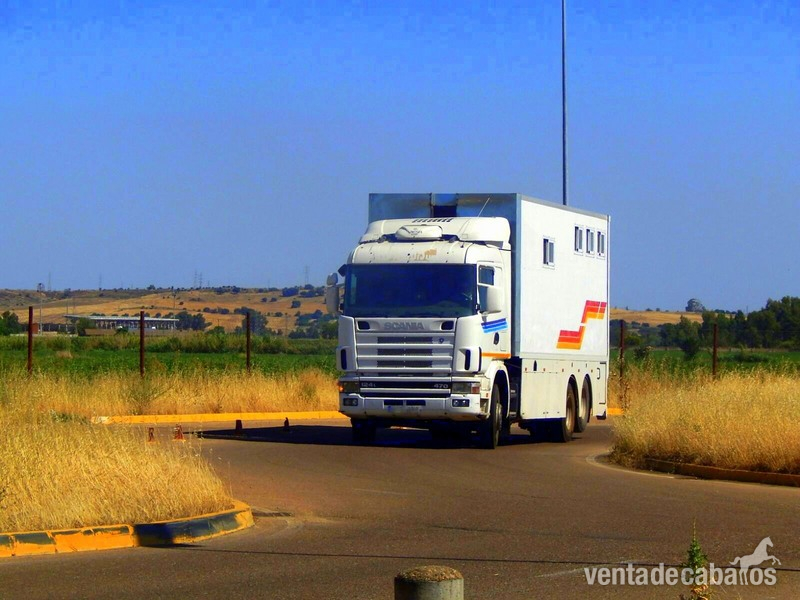 TRANSPORTE INTERNACIONAL