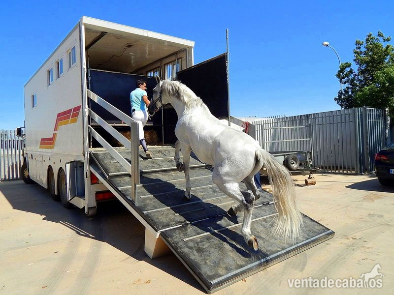  TRANSPORTE INTERNACIONAL