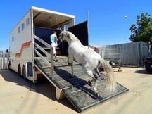 TRANSPORTE INTERNACIONAL