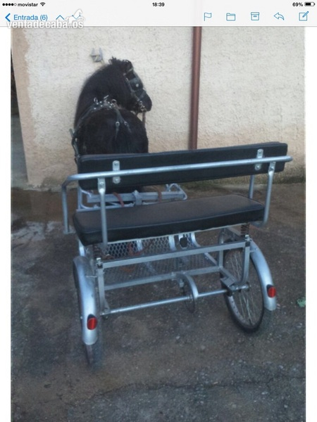 Carro como nuevo y poni domado y enganchado in 