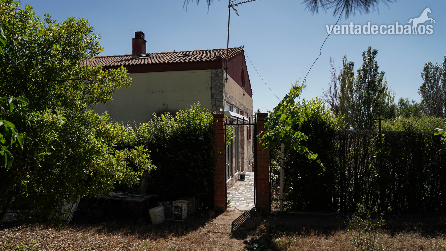 Finca ecuestre - Chalet con parcela + boxes para caballos + finca rústica in Cigales (Valladolid)