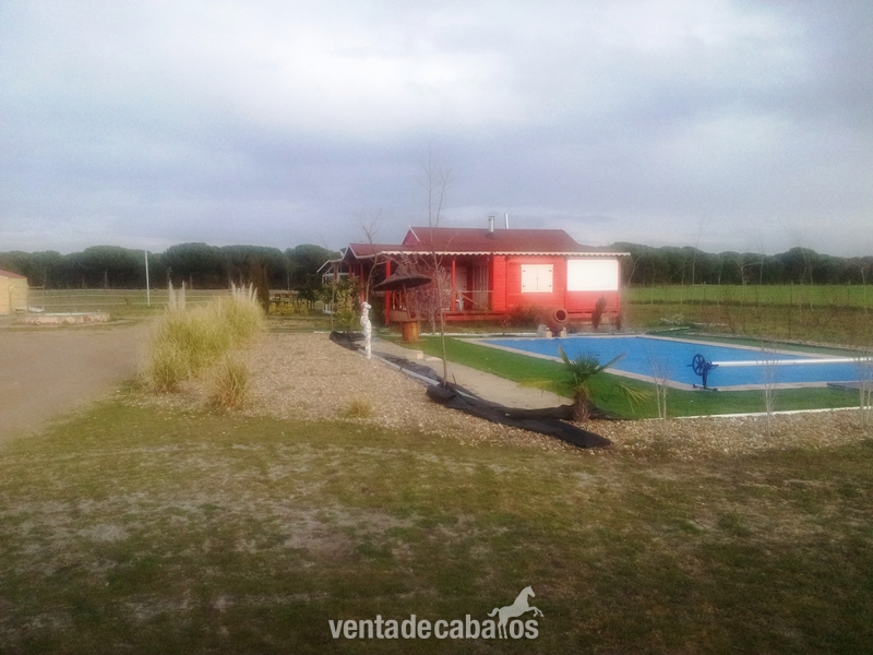 VILLANUEVA DE DUERO FINCA PARA CABALLOS A 15 INUTOS DE VALLADOLID