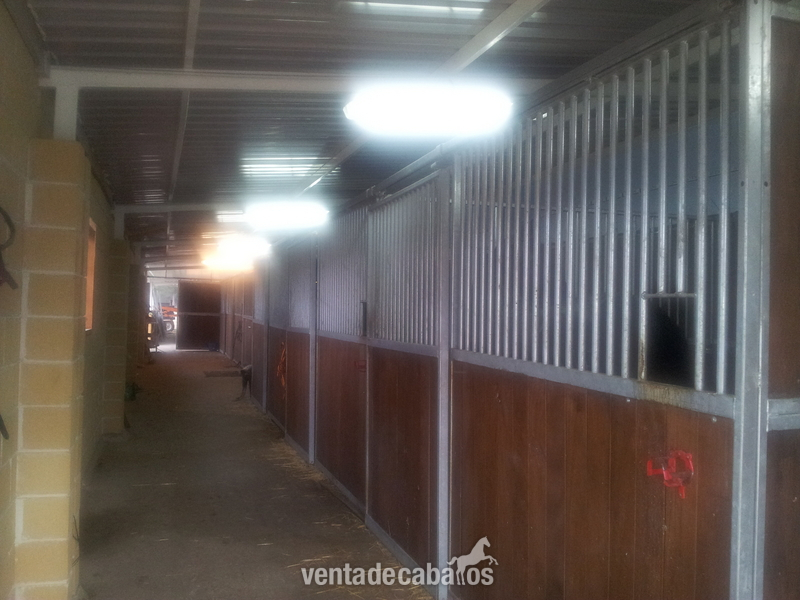 FINCA PARA CABALLOS A 15 INUTOS DE VALLADOLID VILLANUEVA DE DUERO