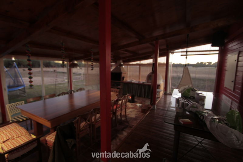 Hípicas y establos en venta - FINCA PARA CABALLOS A 15 INUTOS DE VALLADOLID in VILLANUEVA DE DUERO