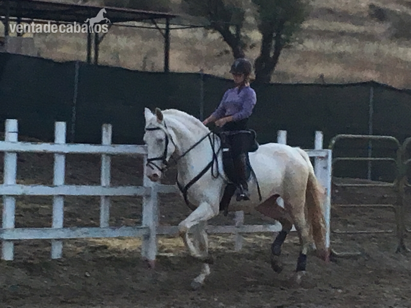 Albino {TYPE}