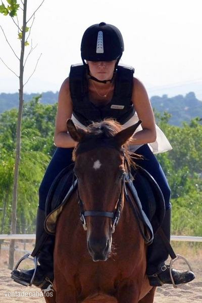 El Madroño Compartir caballos  - Caballos Capados Cruzado