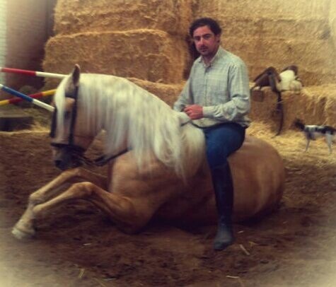 Lusitano {TYPE}