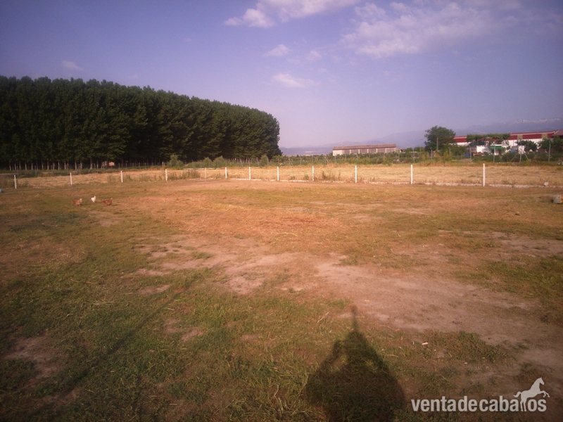 Casa rural Fuente Vaqueros - Finca ecuestre in Fuente Vaqueros
