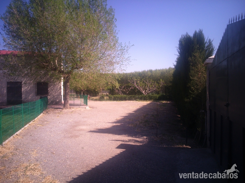 Casa rural Fuente Vaqueros Fuente Vaqueros
