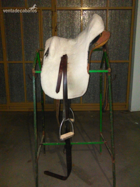 montura australiana in 