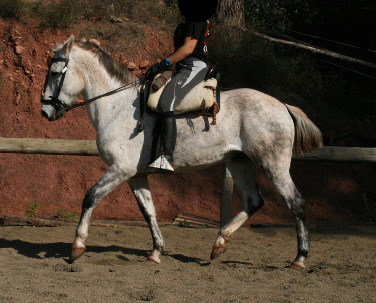 Tres sangres