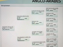 Yegua Aà de completo