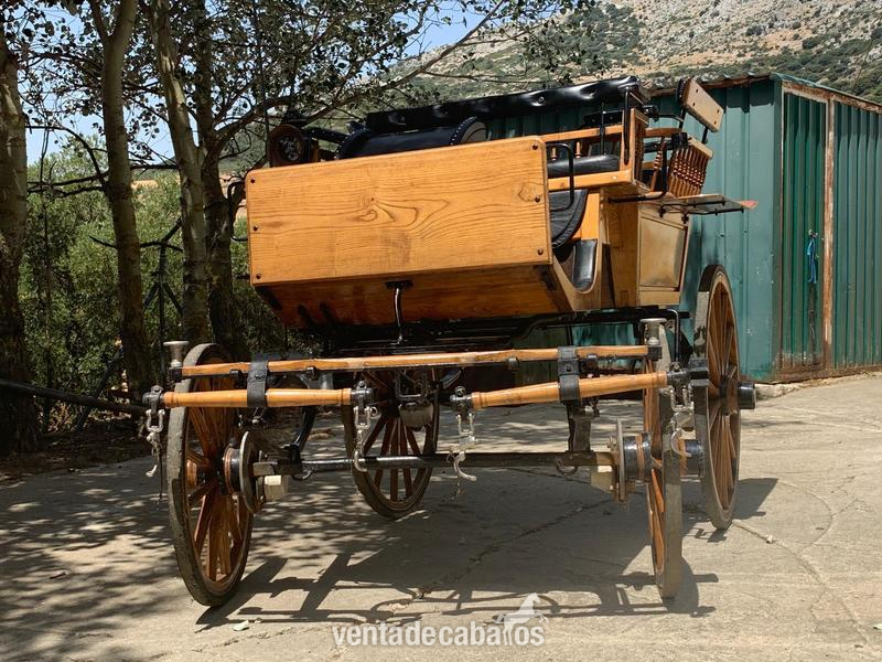 Carro de caballos