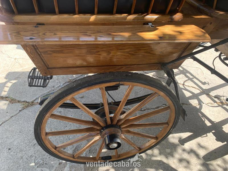  Carro de caballos