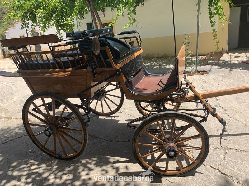 Carro de caballos - Carruajes y Enganches in 