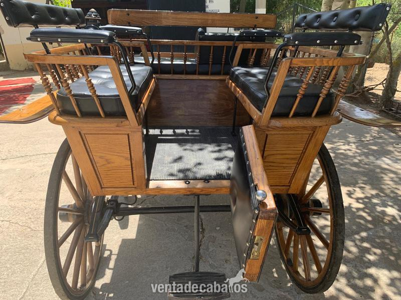 Carro de caballos 