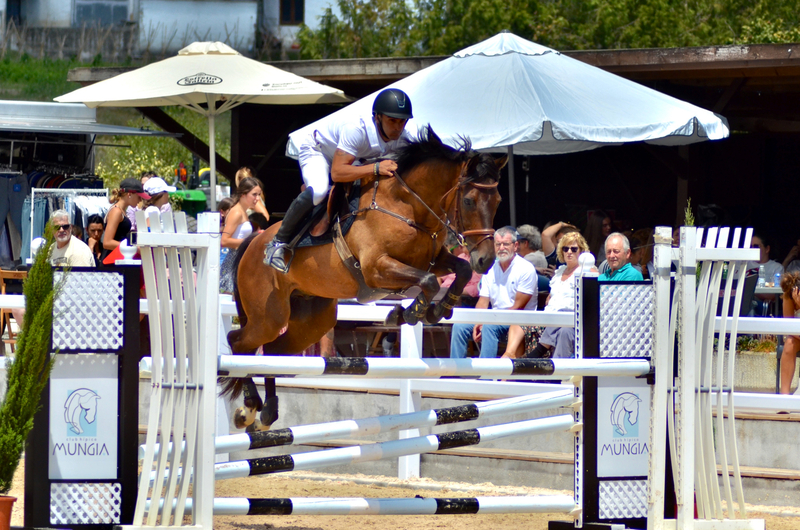 Caballos salto CDE  in 