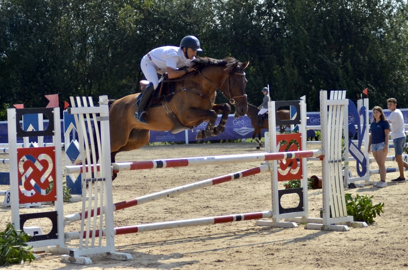Caballos Capados Caballo de Deporte Español (CDE) - Caballos salto CDE 