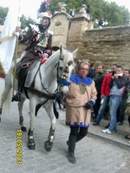 Caballo de Deporte Español (CDE)