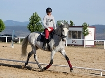 Vendo caballo PRE