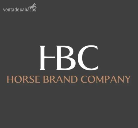 Silla de Montar Salto 17 5" HBC. Nueva. En OFERTA!!!