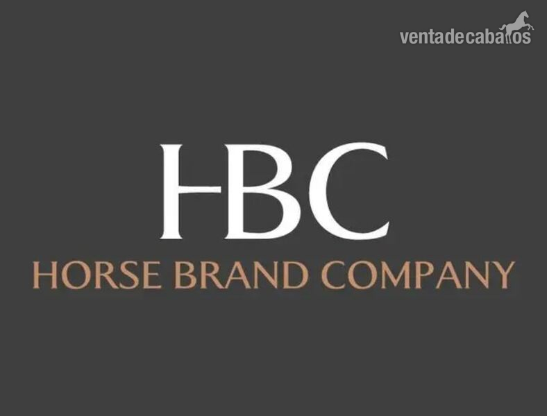 Sillas de montar - Silla de Montar Salto 17" HBC. Nueva. En Oferta!!!