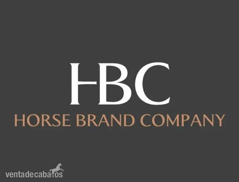 Silla de Montar Doma 18" HBC. Nueva. EN OFERTA!!! - Sillas de montar in 