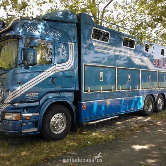 TRANSPORTES INTERNACIONALES DE CABALLOS in 