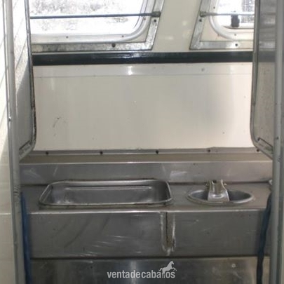 TRANSPORTES INTERNACIONALES DE CABALLOS