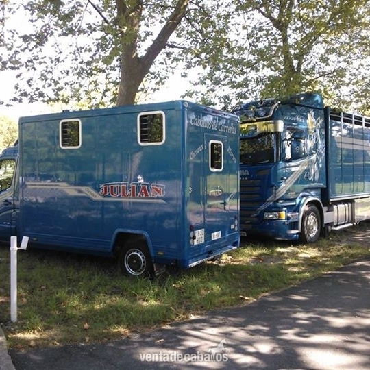 Transportes de caballos - TRANSPORTES INTERNACIONALES DE CABALLOS in 