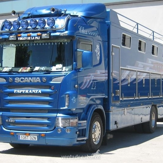 Transportes de caballos - TRANSPORTES INTERNACIONALES DE CABALLOS