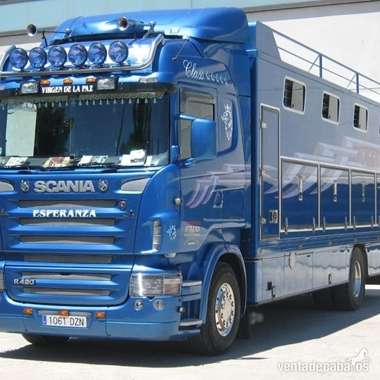 TRANSPORTES INTERNACIONALES DE CABALLOS in 