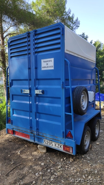 Van 2 caballos