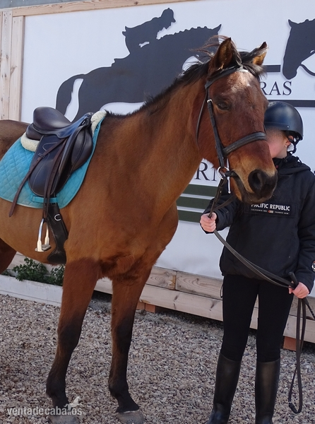 SE VENDE PONY D
