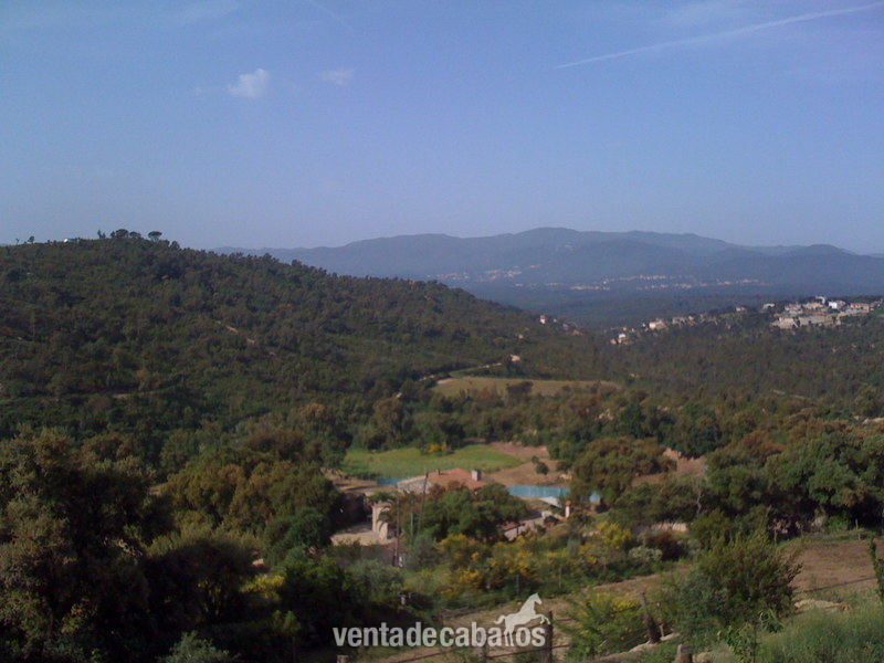 Fantastica Finca equina de 40 hectareas  in Maçanet de la Selva ( Girona)