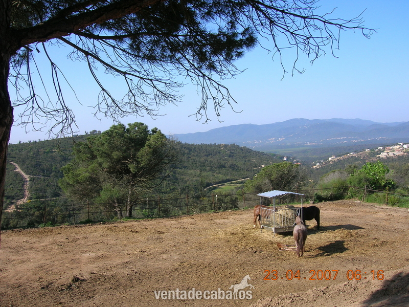 Fantastica Finca equina de 40 hectareas  - Finca ecuestre in Maçanet de la Selva ( Girona)